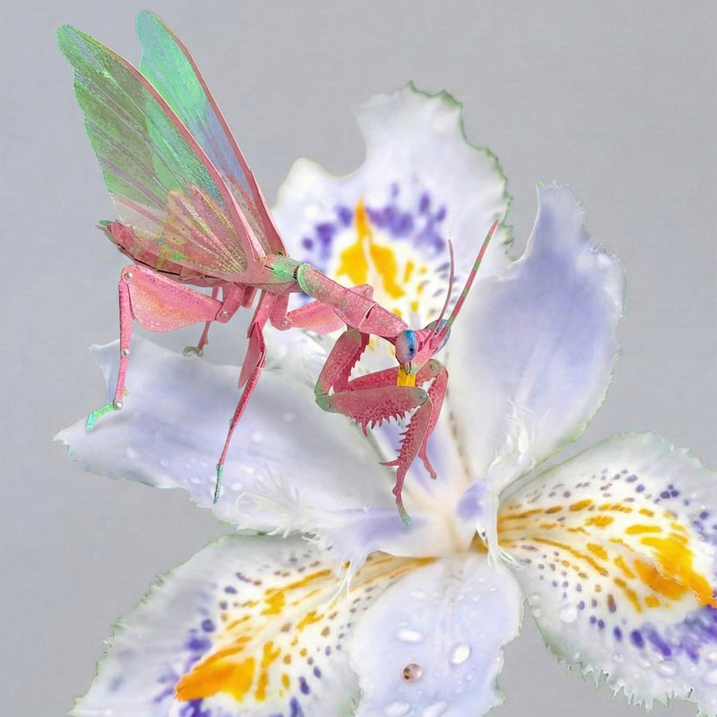 Kit DIY d’Insecte Mante Religieuse 3D