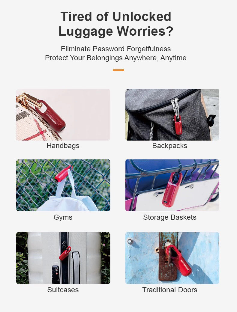 Portable Fingerprint Lock