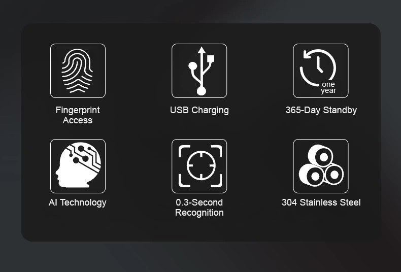 Portable Fingerprint Lock