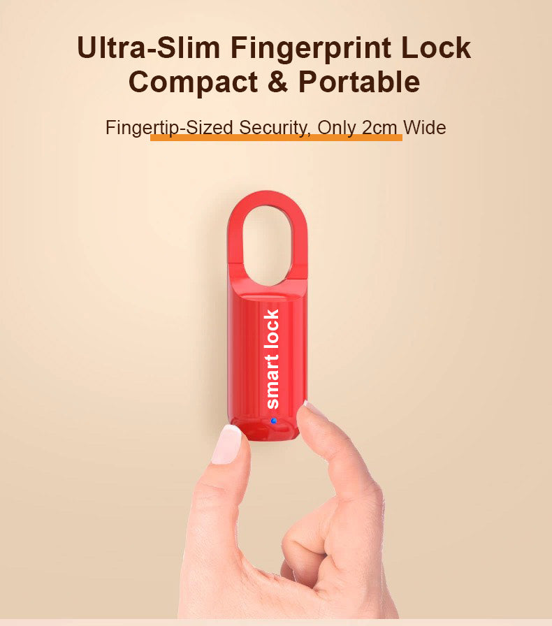 Portable Fingerprint Lock