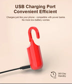 Portable Fingerprint Lock