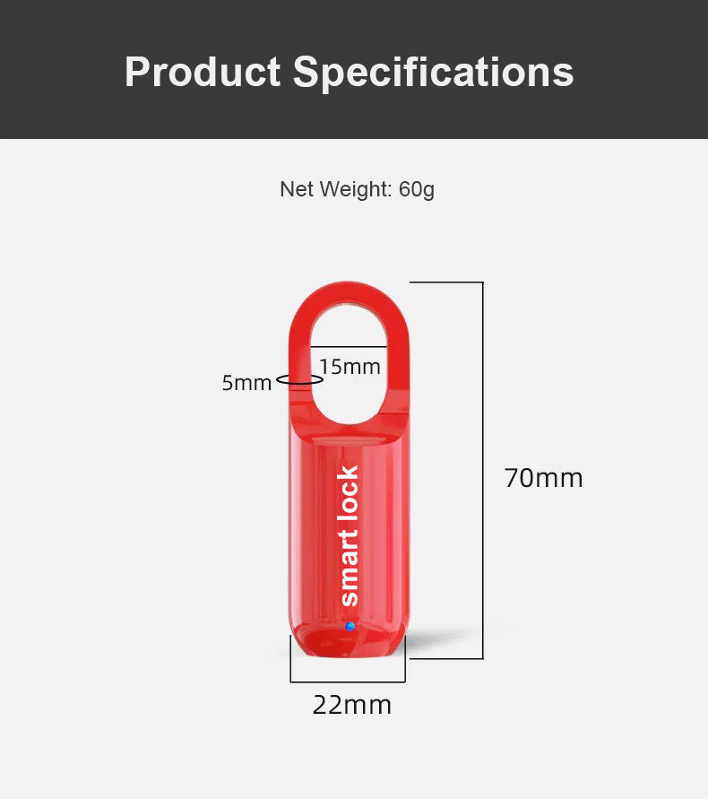Portable Fingerprint Lock