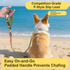 狗狗牽引繩(基礎款)