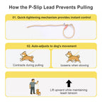 狗狗牽引繩(基礎款)
