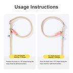 狗狗牽引繩(基礎款)