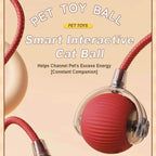 Balle interactive intelligente pour chats