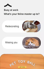 Balle interactive intelligente pour chats