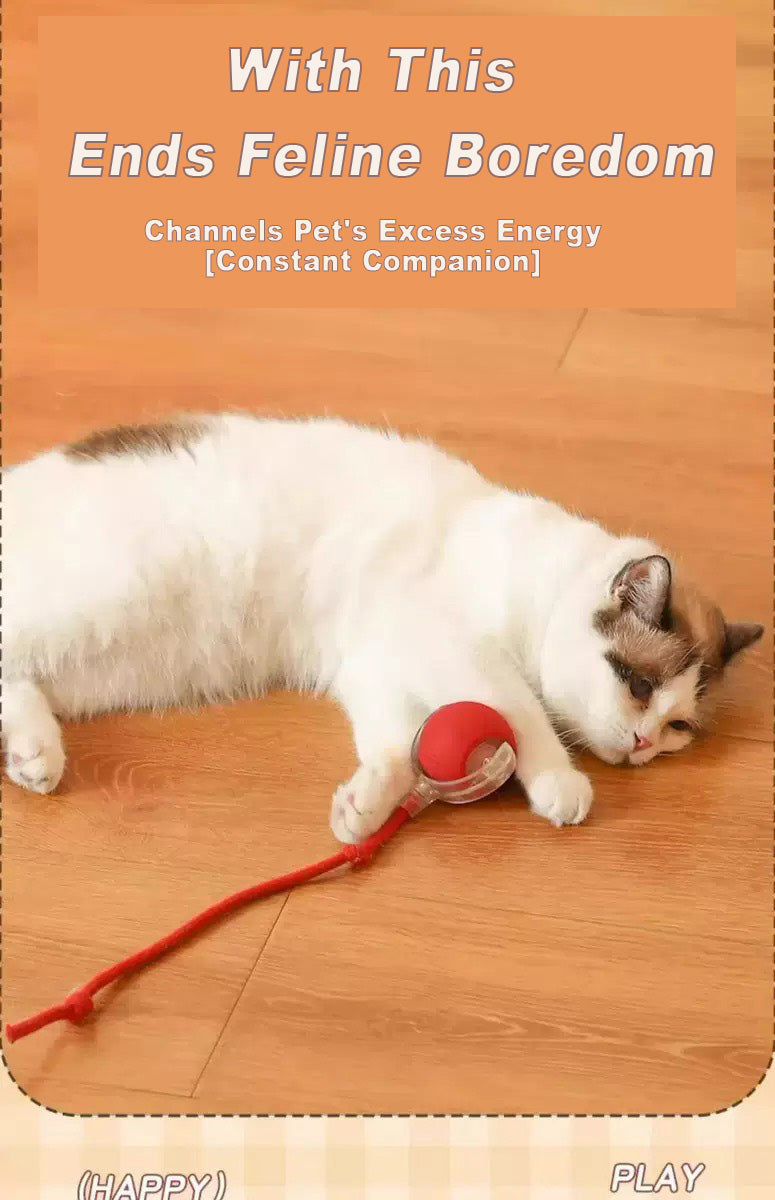 Balle interactive intelligente pour chats
