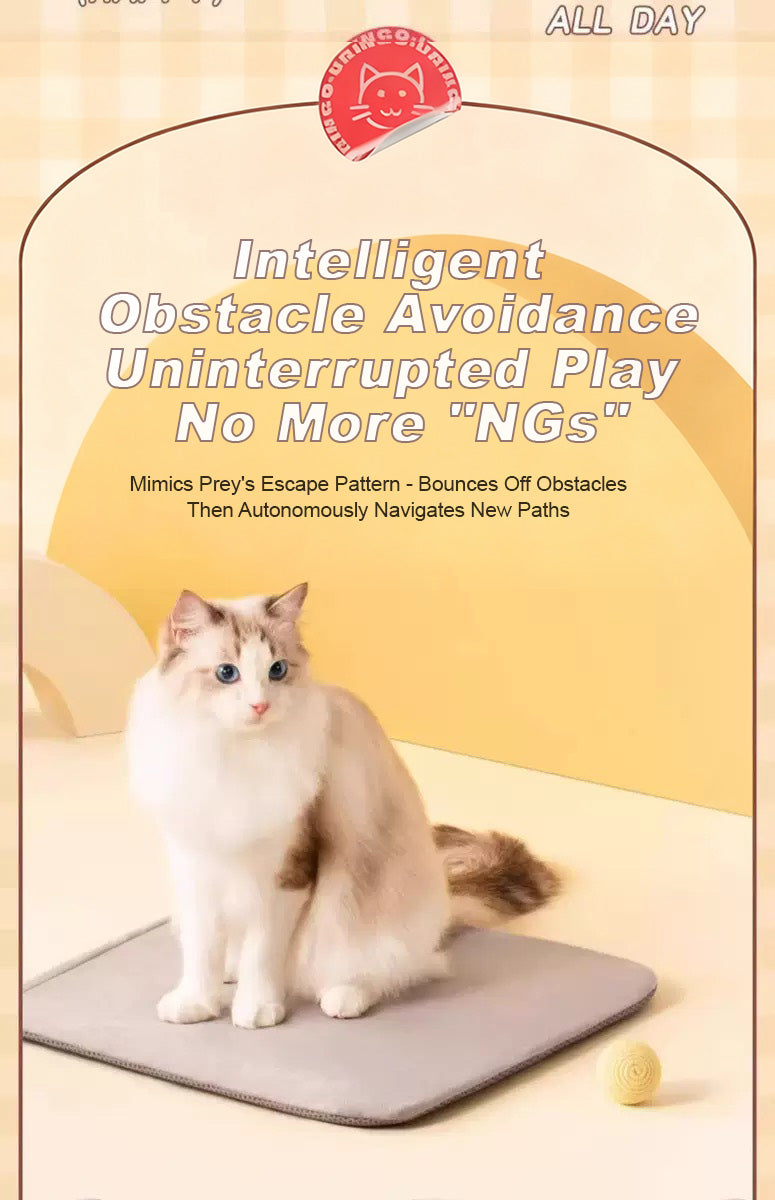 Balle interactive intelligente pour chats
