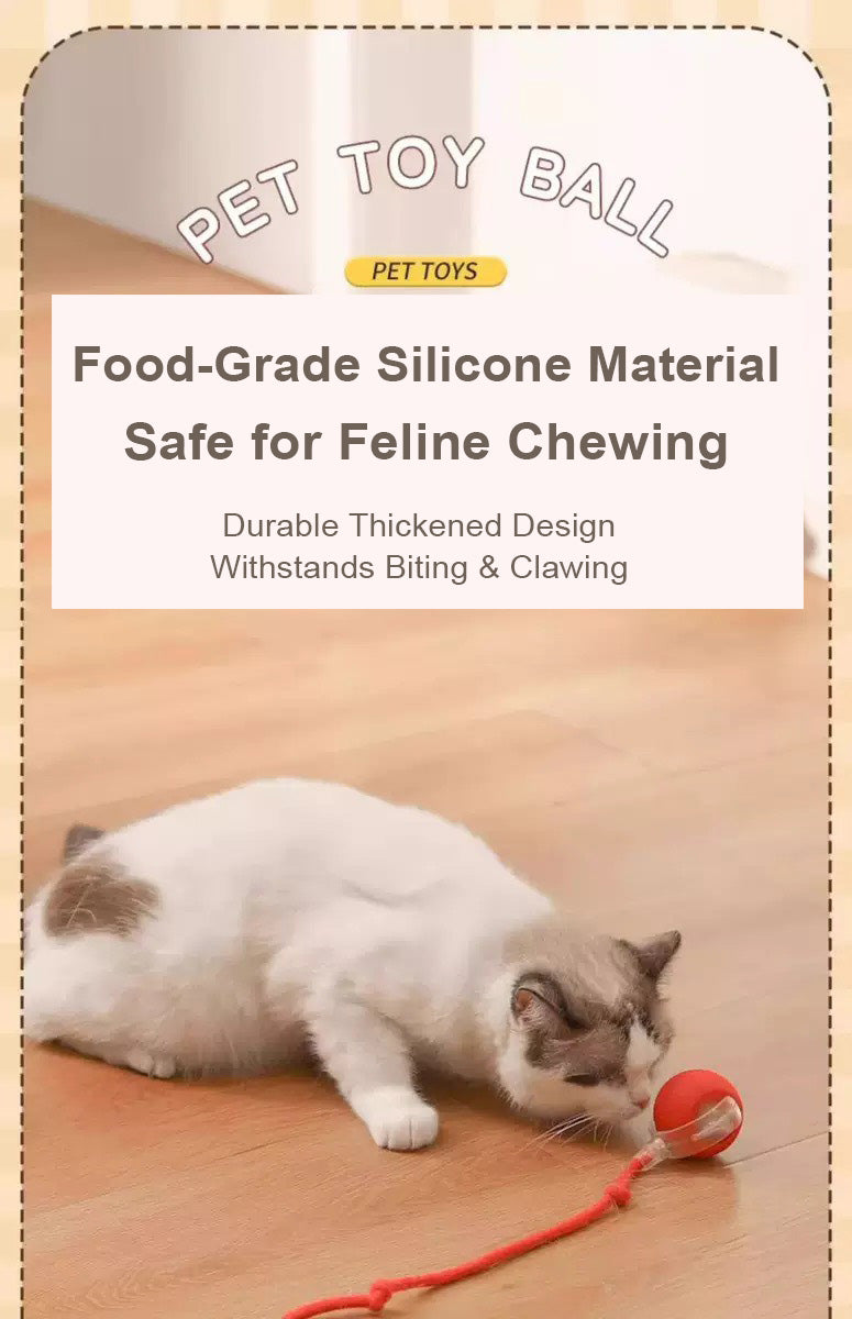 Balle interactive intelligente pour chats