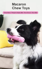 강아지 마카롱 치석 제거 장난감 세트
