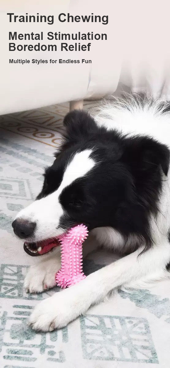 강아지 마카롱 치석 제거 장난감 세트