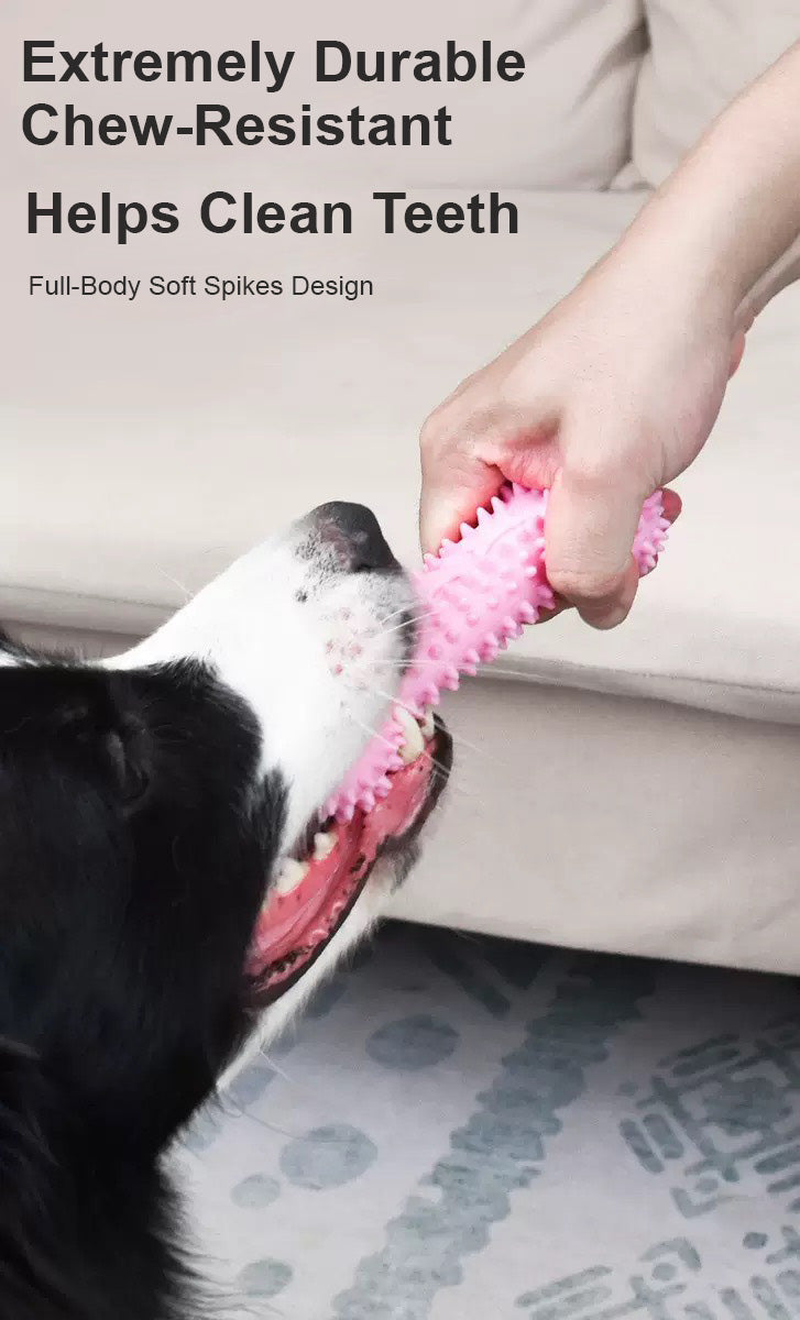 狗狗馬卡龍磨牙玩具組合