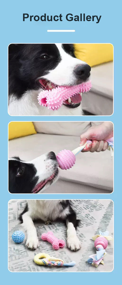 강아지 마카롱 치석 제거 장난감 세트