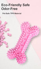 강아지 마카롱 치석 제거 장난감 세트