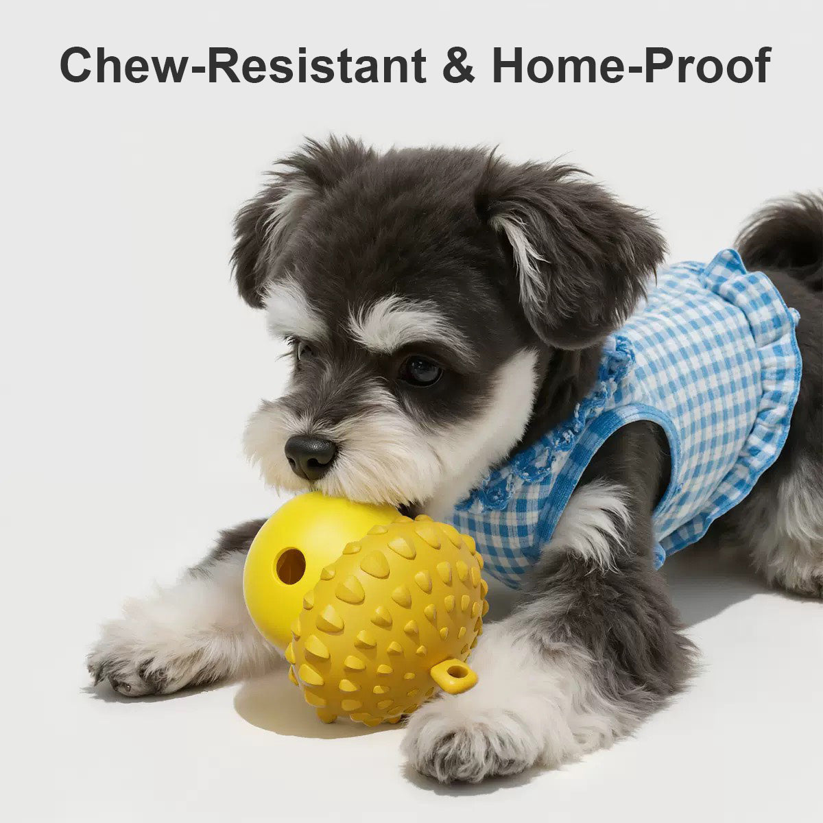 寵物松果造型漏食器