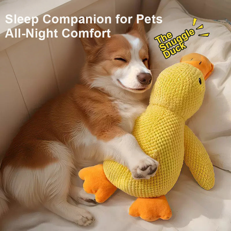 寵物安撫玩具鴨