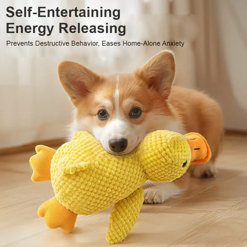 寵物安撫玩具鴨