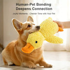 寵物安撫玩具鴨