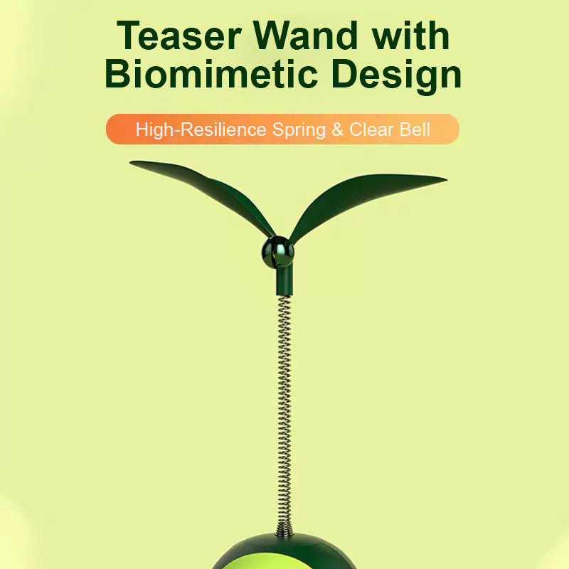 貓咪酪梨造型益智玩具