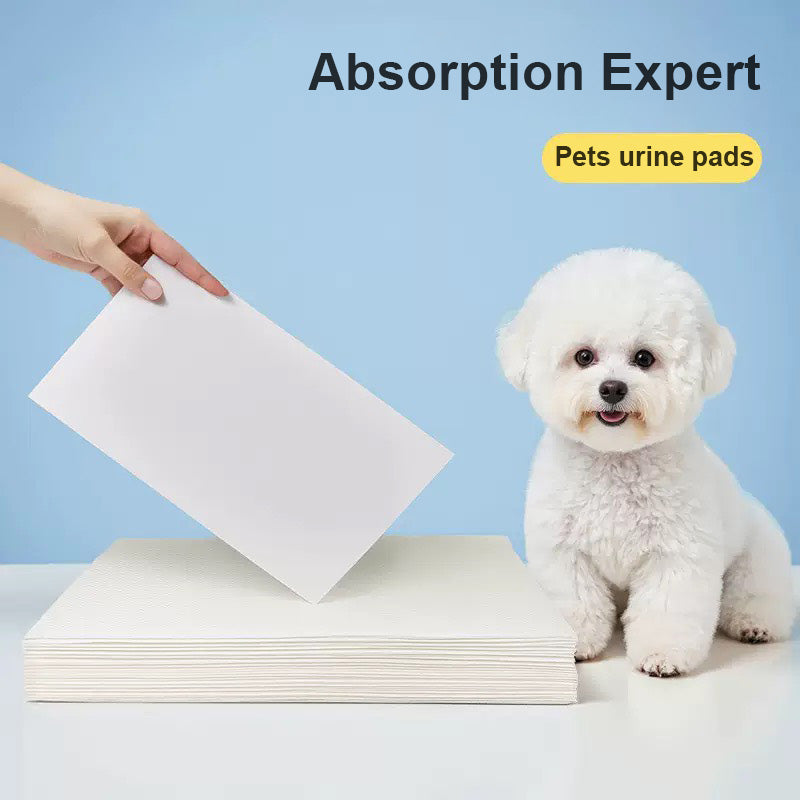 寵物吸尿紙