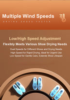 Secador de Zapatos Inteligente de Temperatura Constante