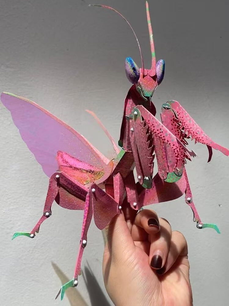 Kit DIY d’Insecte Mante Religieuse 3D