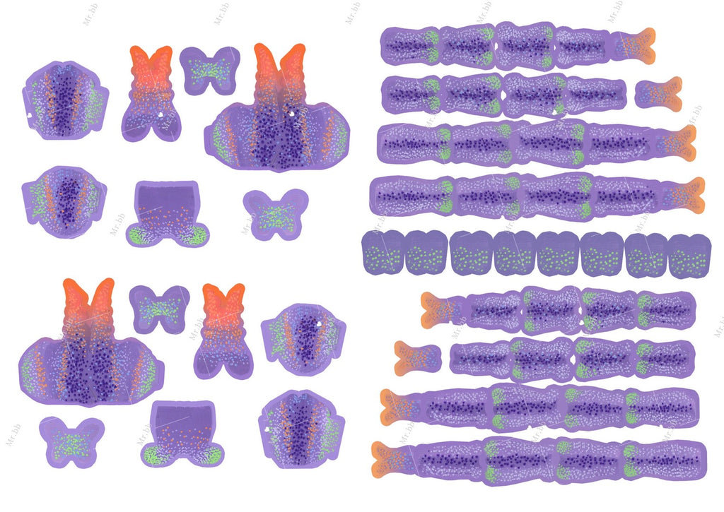전갈 입체 생물 DIY 수공예 재료 키트
