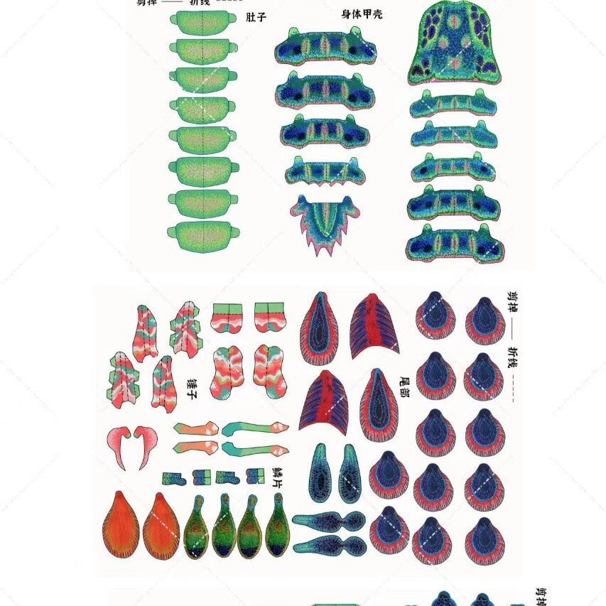 피피새우 입체 갑각생물 DIY 수공예 키트