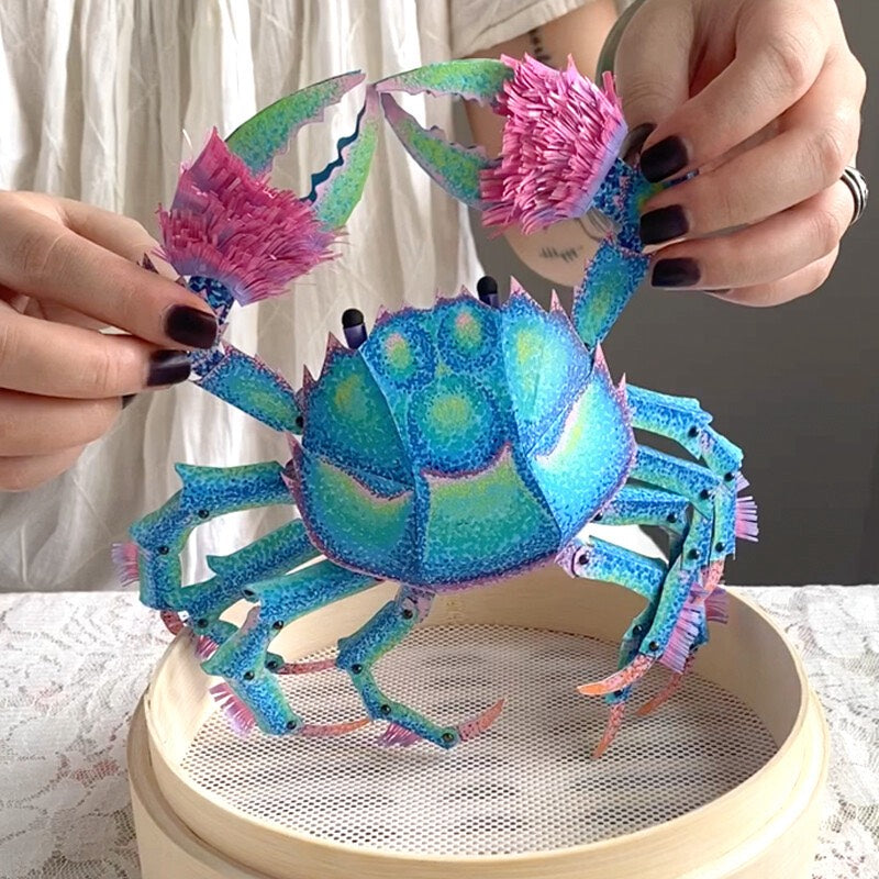 大閘蟹立體生物（甲殼類）DIY 手作材料包