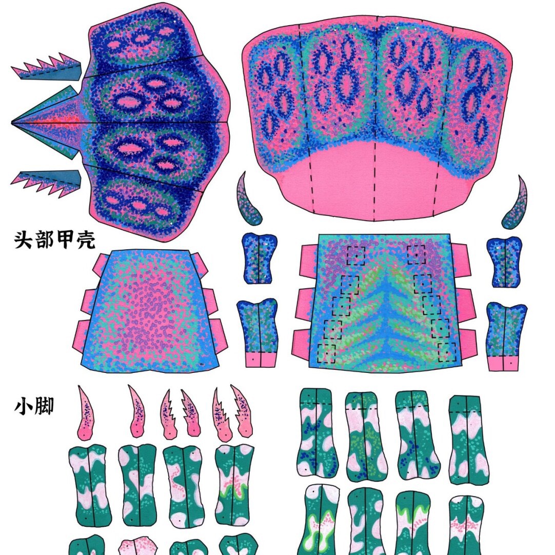 Kit DIY de créature marine 3D – Homard