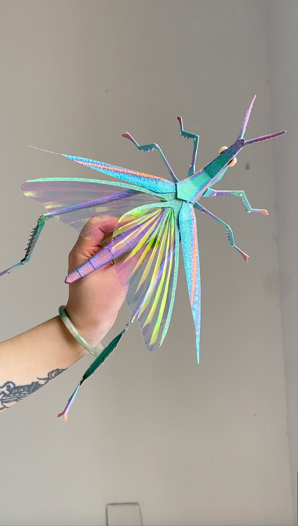 Kit DIY d’Insecte Sauterelle 3D