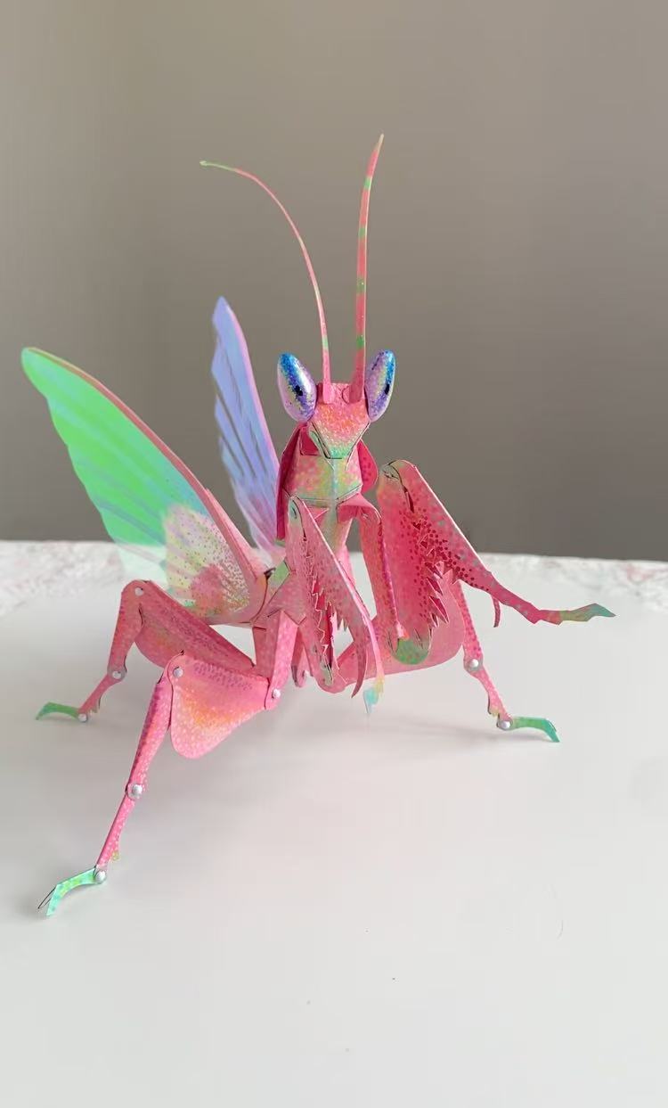 Kit DIY d’Insecte Mante Religieuse 3D