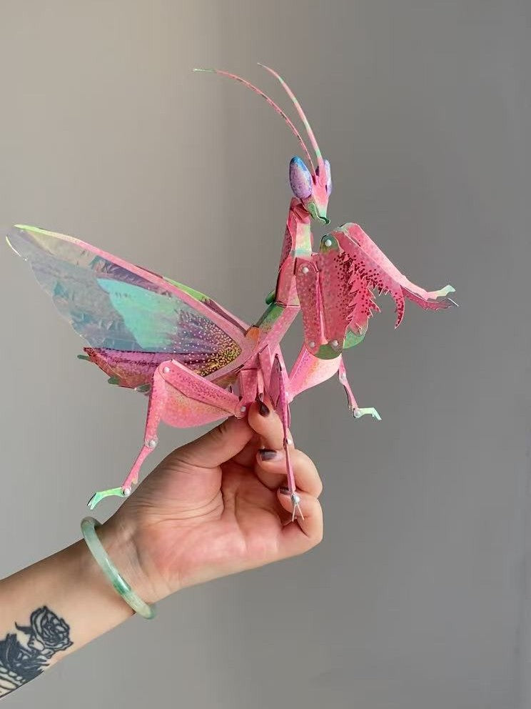 Kit DIY d’Insecte Mante Religieuse 3D