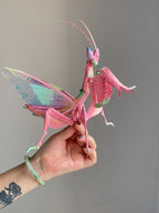 Kit DIY d’Insecte Mante Religieuse 3D