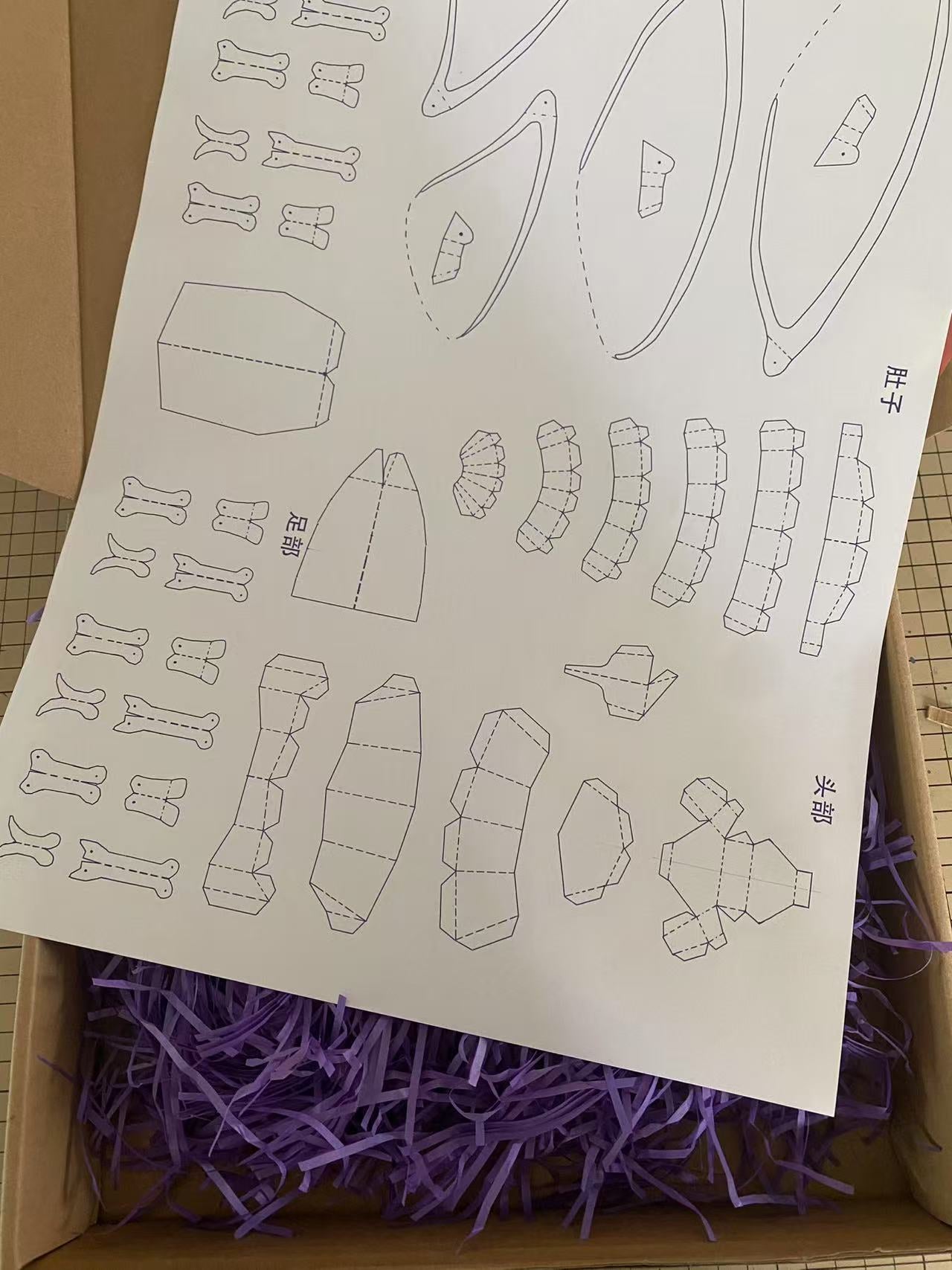 Kit DIY d’Insecte Cigale 3D