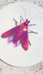 바퀴벌레 입체 곤충 DIY 핸드메이드 재료 키트