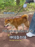 Laisse automatique rétractable pour chien