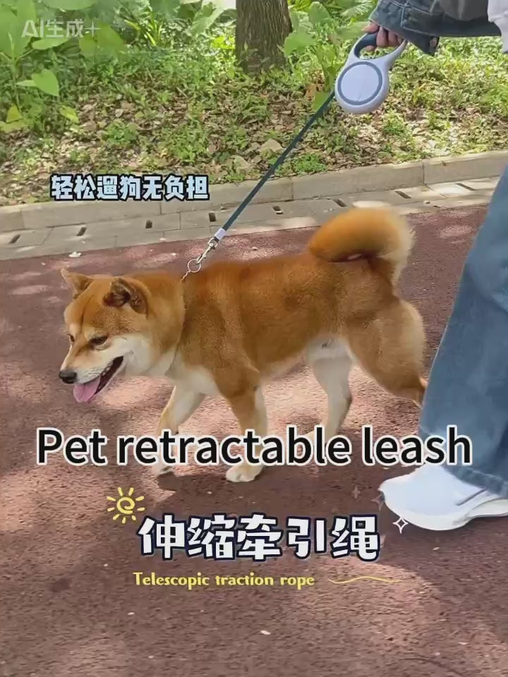Laisse automatique rétractable pour chien