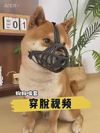 狗狗嘴套