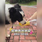 寵物便攜式水壺