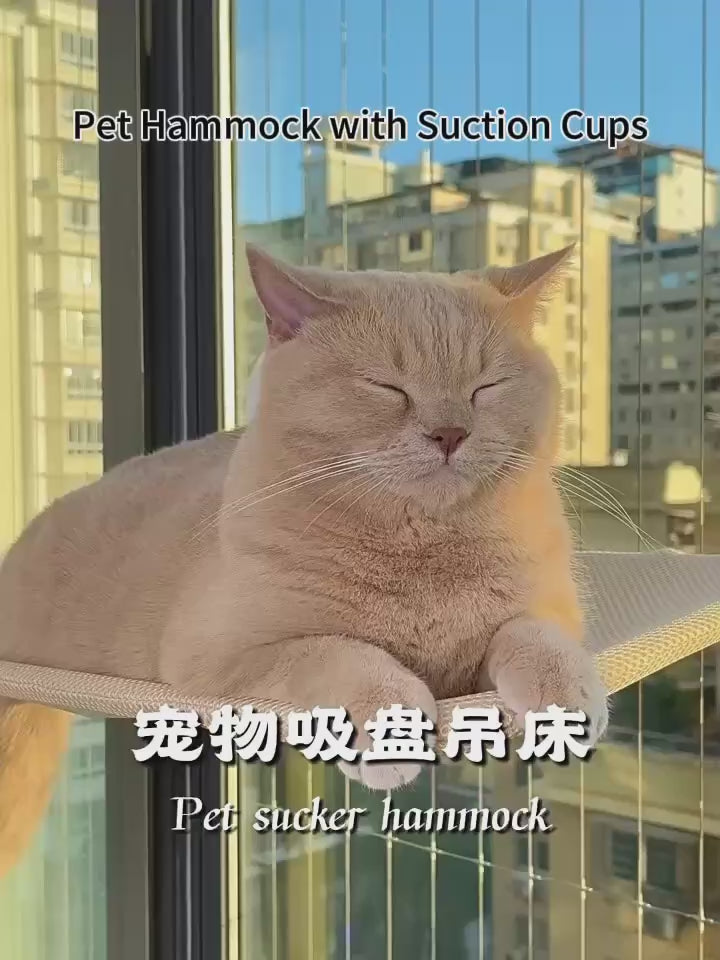 貓吊床